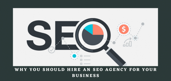Perks That Prove Why You Should Hire an SEO Agency for Your Business